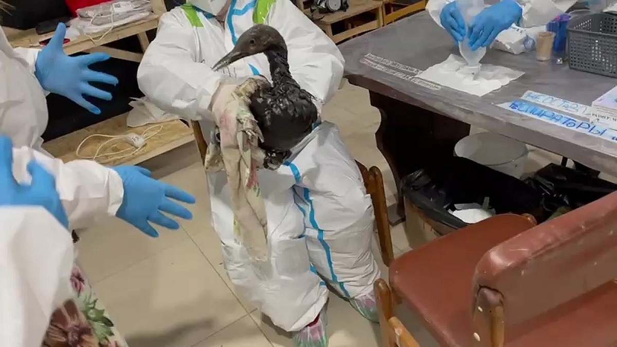 Источник https://avatars.dzeninfra.ru/get-zen_doc/271828/pub_678fbcc08e9b1b4ee3f180ce_678fbcc78e9b1b4ee3f1812f/scale_1200