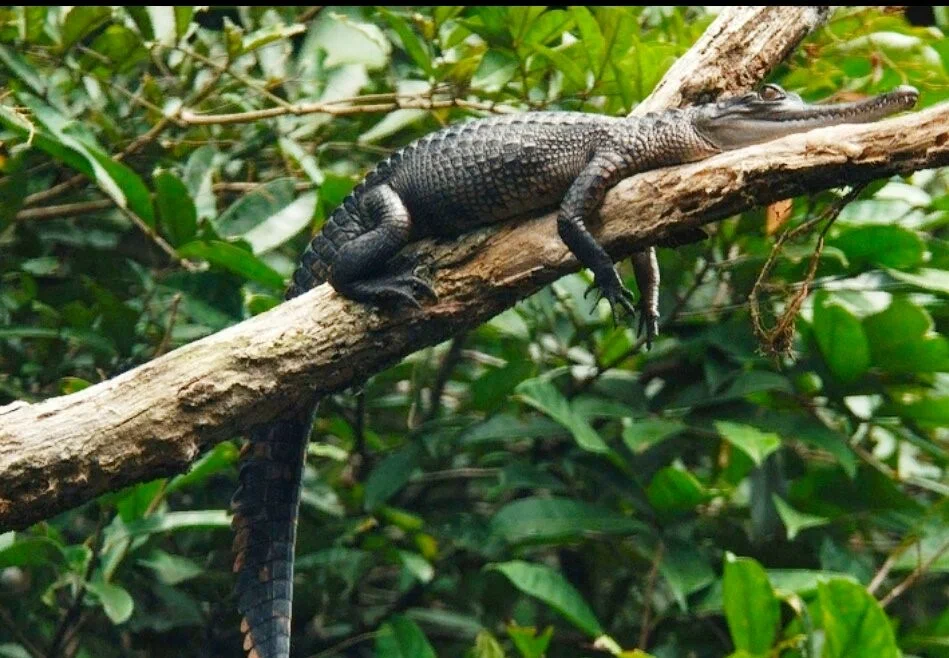 Источник: winknews.com