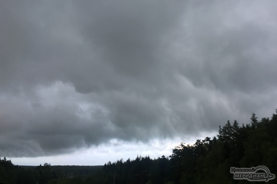    Фото: Ольга Аникина © ИА «Уральский меридиан»