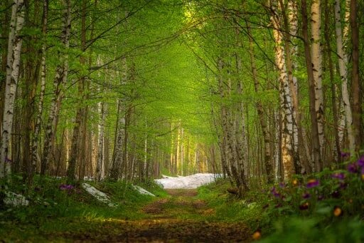    Иллюстрация "Блокнот"