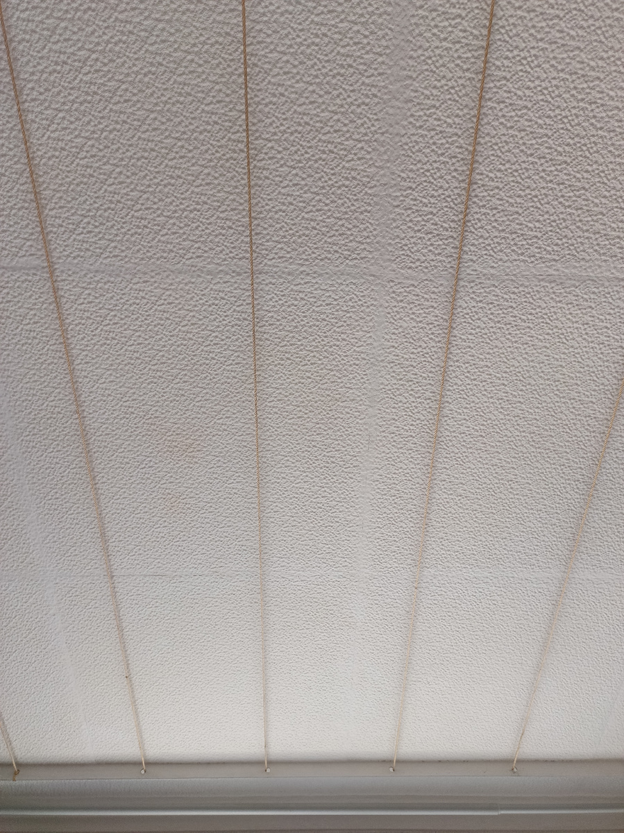 Фото из личного архива.