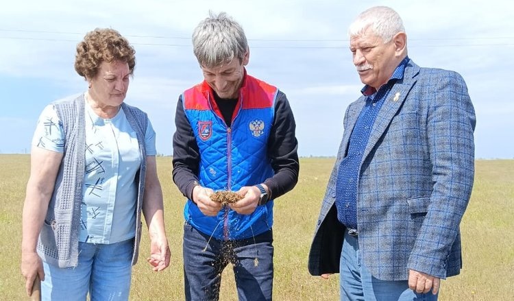    Почему для защиты урожая важно найти кубышки саранчи