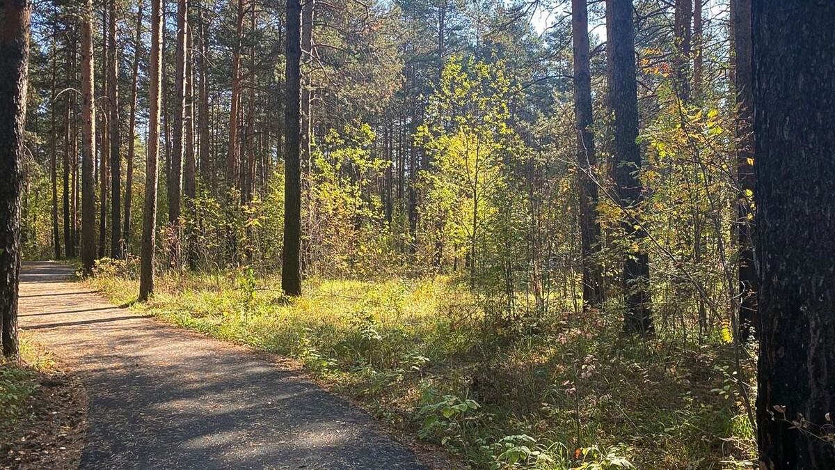     Источник: 1MI