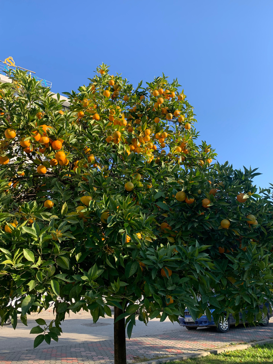 Личное фото. 5 декабря. 