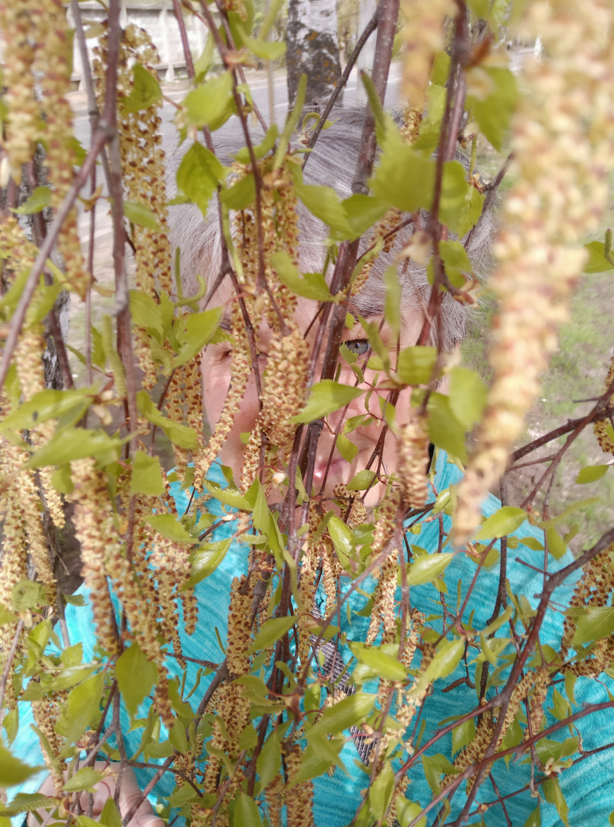 Светлана, автор блога, в берëзовом плену