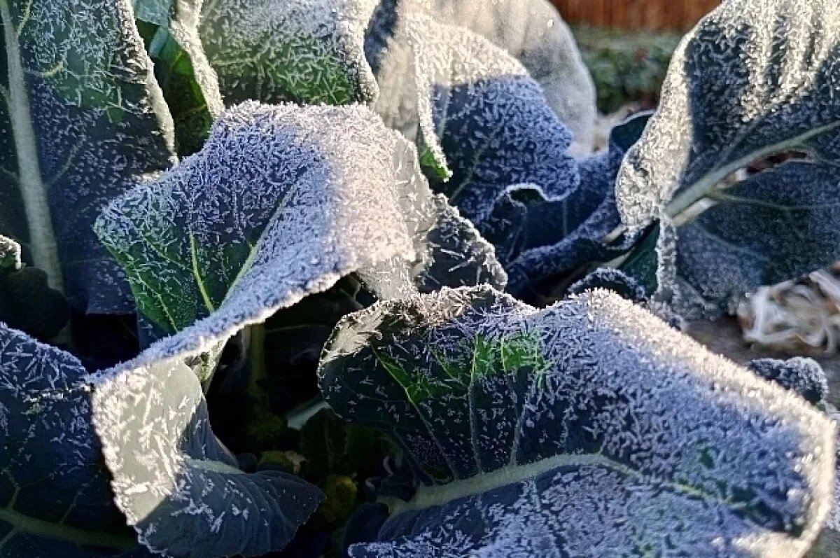    На Крым надвигаются ливни, сильный ветер и заморозки до -2 градусов