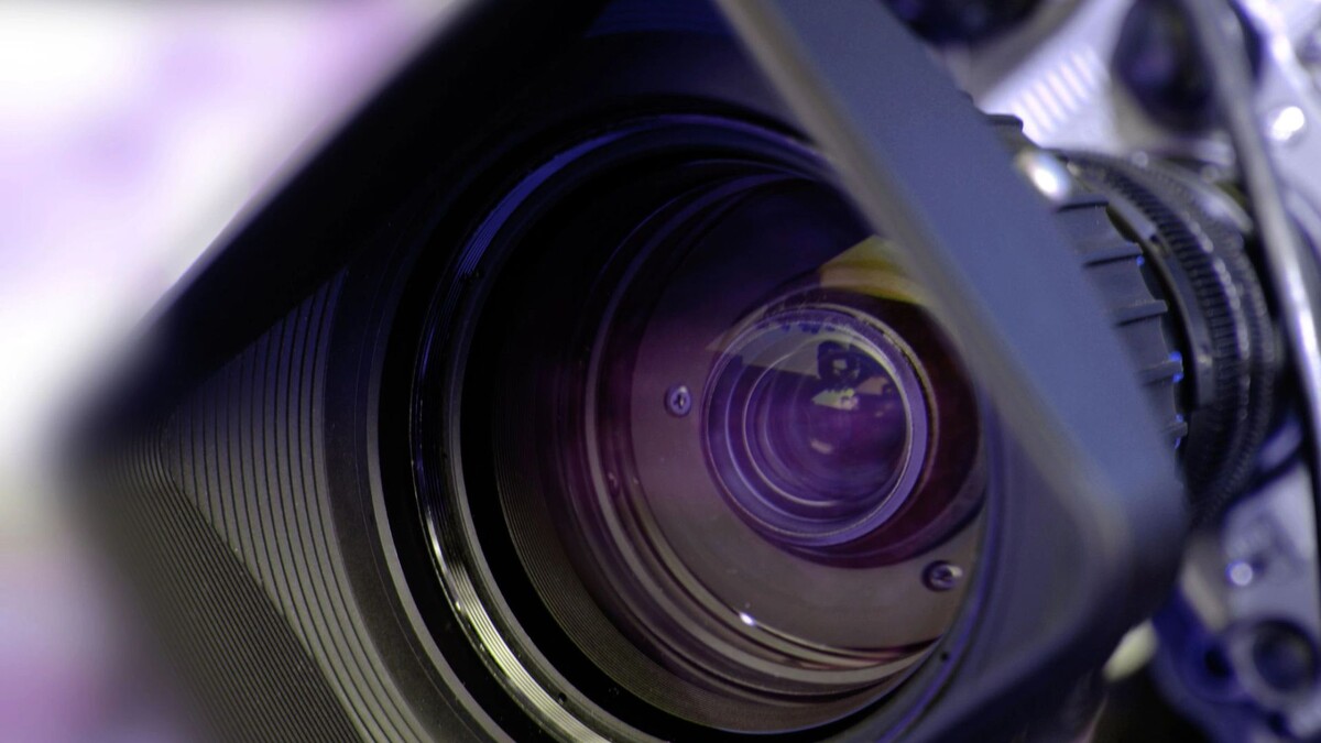    Фото: Annmarie Young/Shutterstock/Fotodom