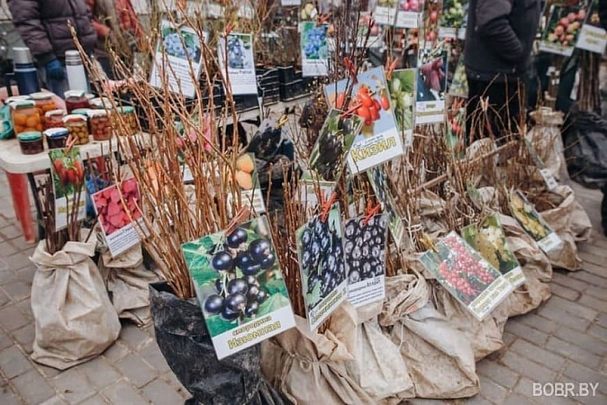 Фото: fotoblur.ru