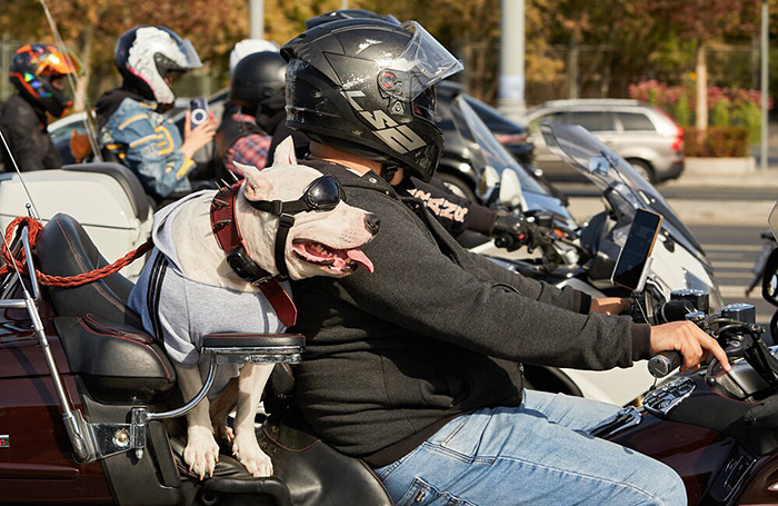    Дмитрий Белицкий/АГН «Москва»