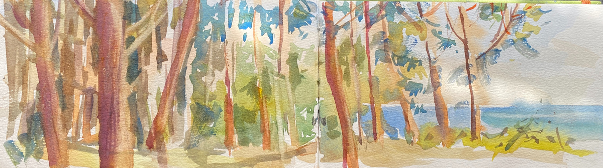 Розовые стволы сосен на берегу озеро. Одно из любимых мест