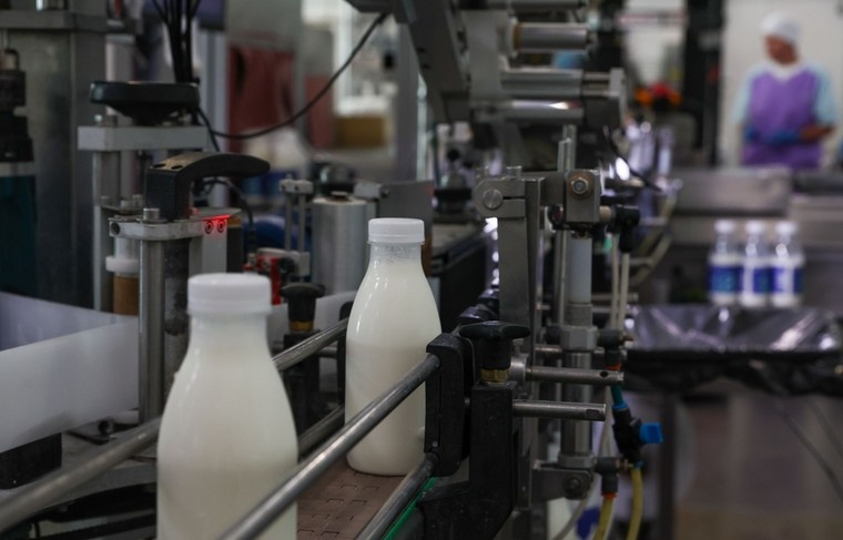    Наталья Шатохина/NEWS.ru