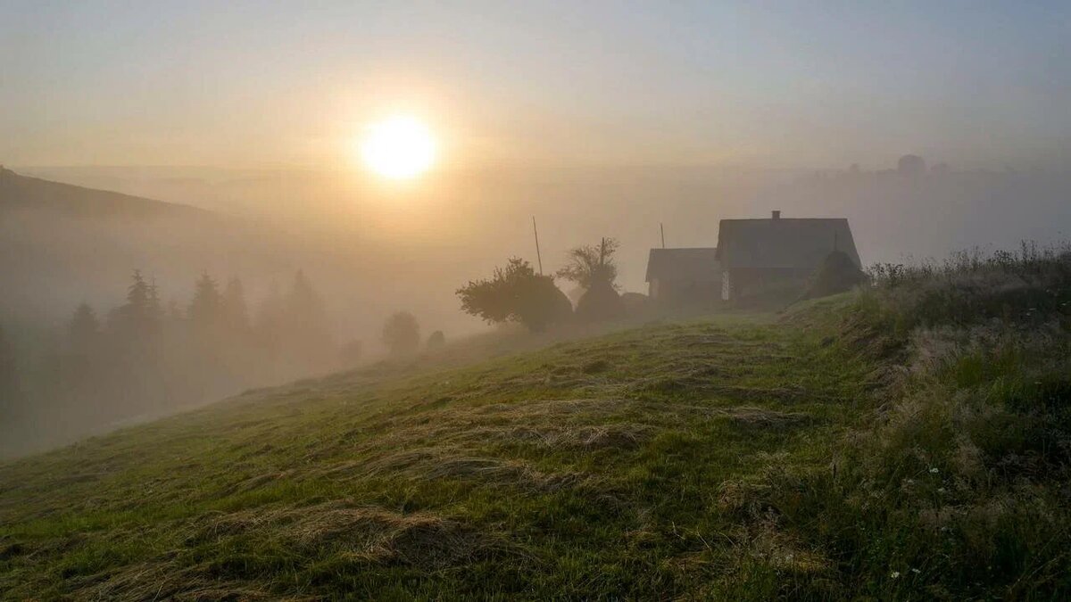 картинка из интернета