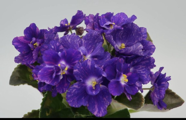 Источник фото swetik7swetik.ru