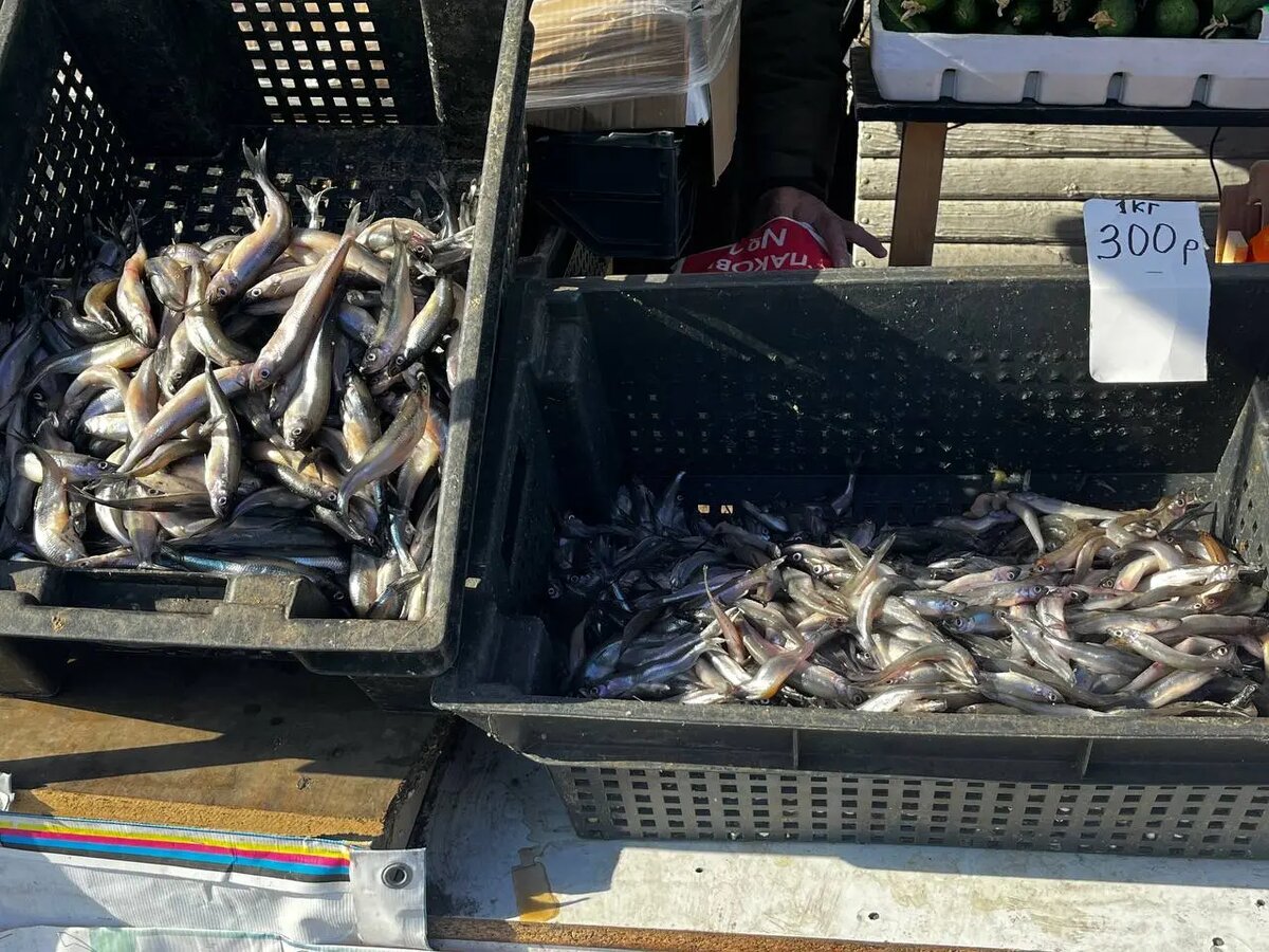    Фото: Мойка78