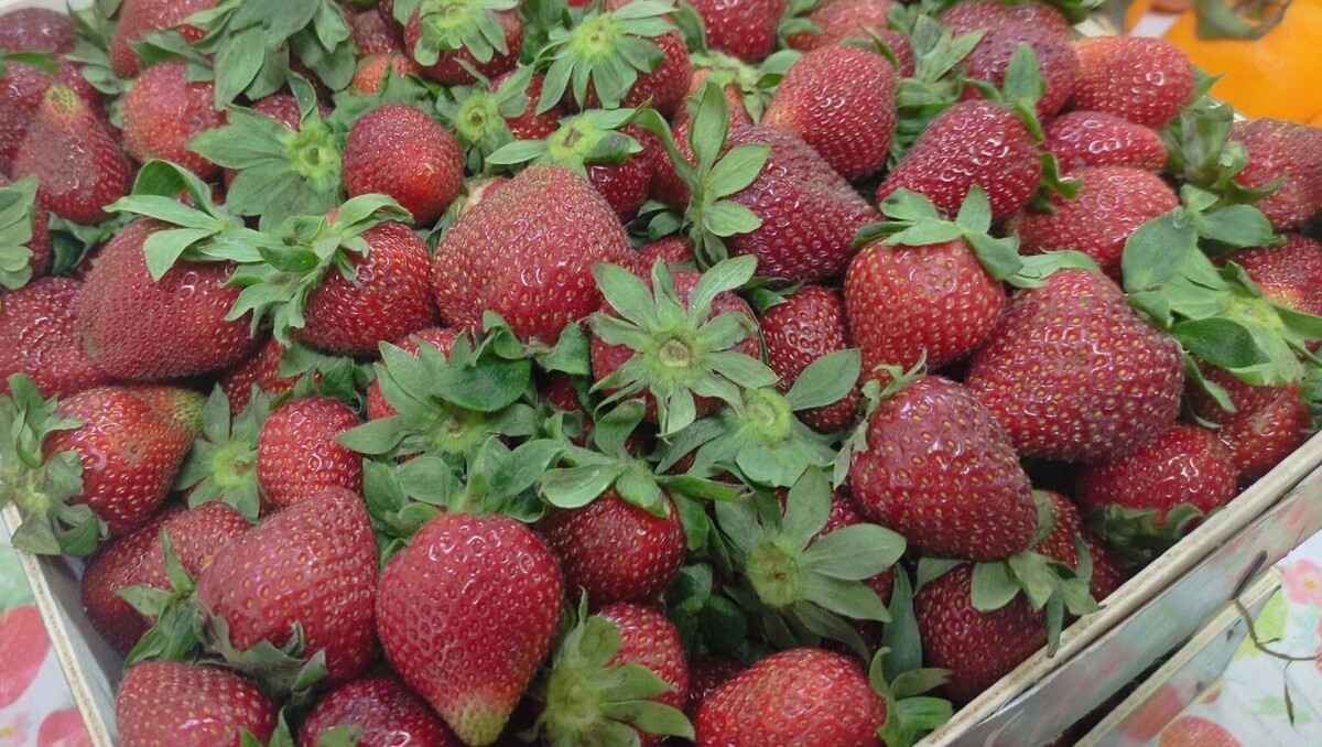     Источник: rostovgazeta.ru