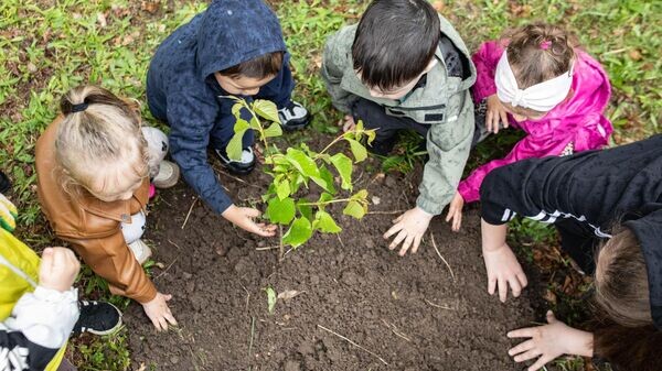    © Sputnik / Михаил Авагимов