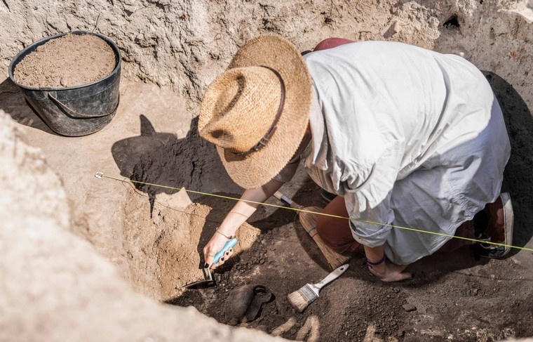    Shutterstock/FOTODOM