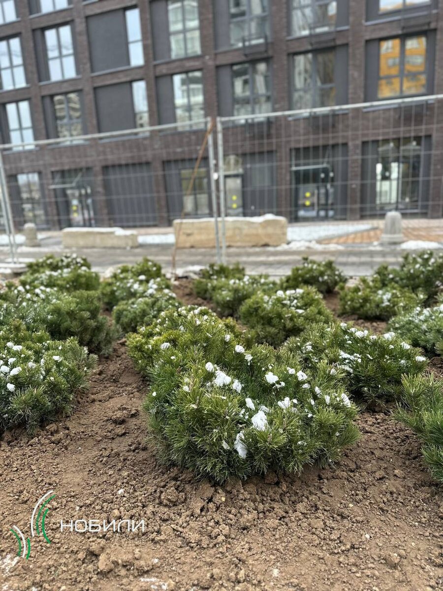 Фото из архива компании "Нобили"