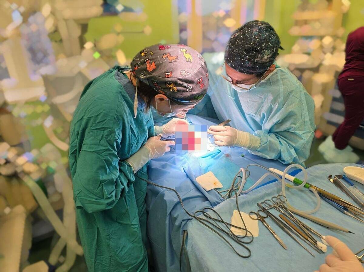 Фото: © Пресс-служба ДРКБ