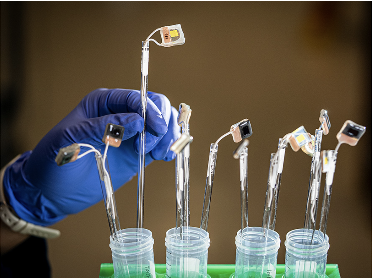 Крупный план устройств на основе перовскита и меди, разработанных в рамках многостороннего сотрудничества, направленного на создание технологий для преобразования солнечного света в жидкое топливо. Источник: https://newscenter.lbl.gov/2025/04/24/scientists-develop-artificial-leaf-that-uses-sunlight-to-produce-valuable-chemicals/