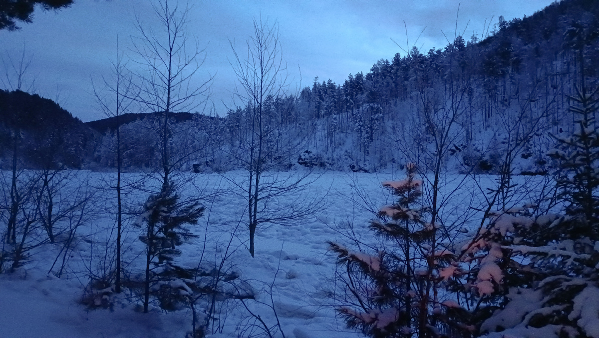 Предрассветные сумерки