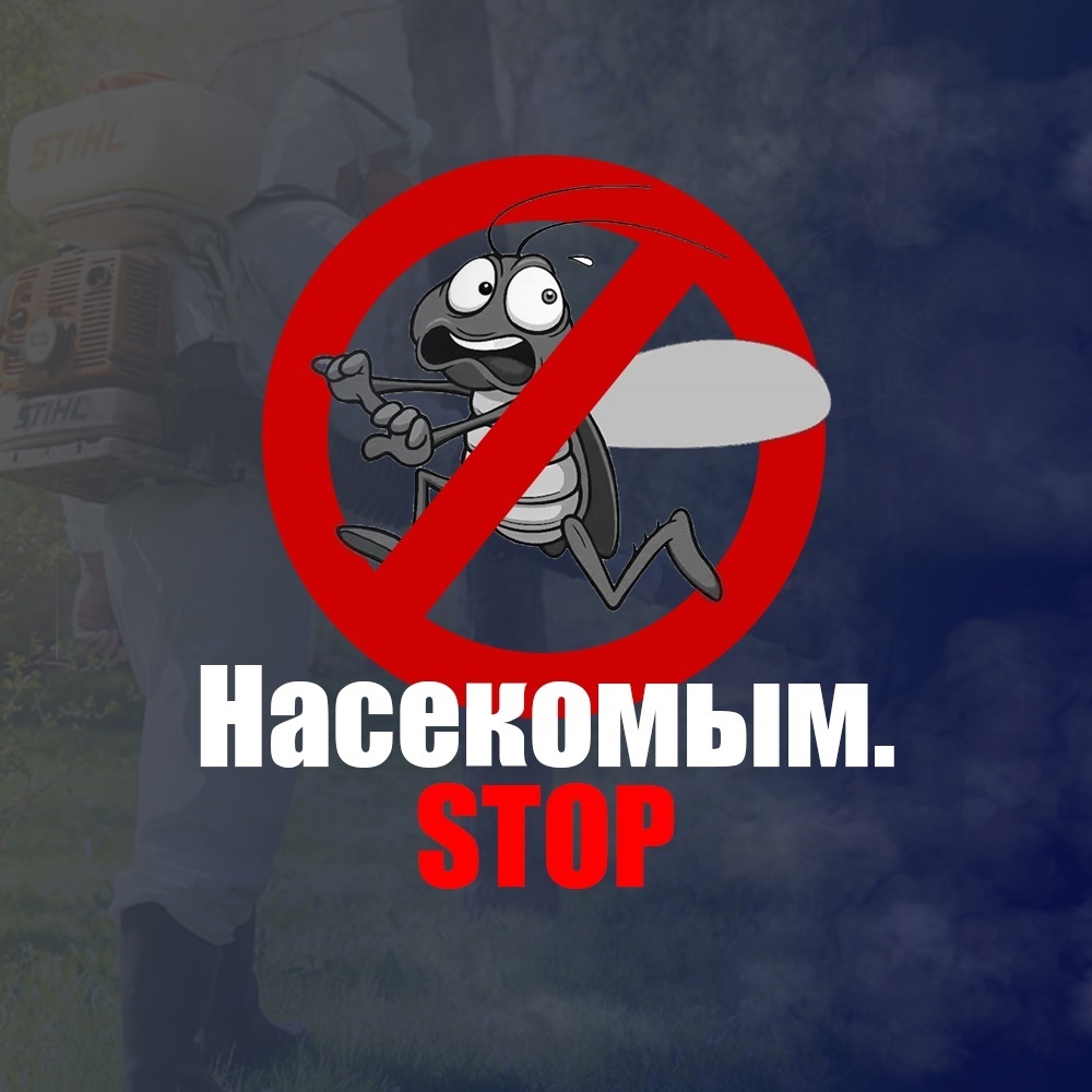 Насекомым. Стоп: чем стоит руководствоваться при выборе службы дезинфекции? 
