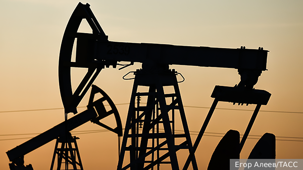     Фото: Егор Алеев/ТАСС   
 Текст: Ирма Каплан