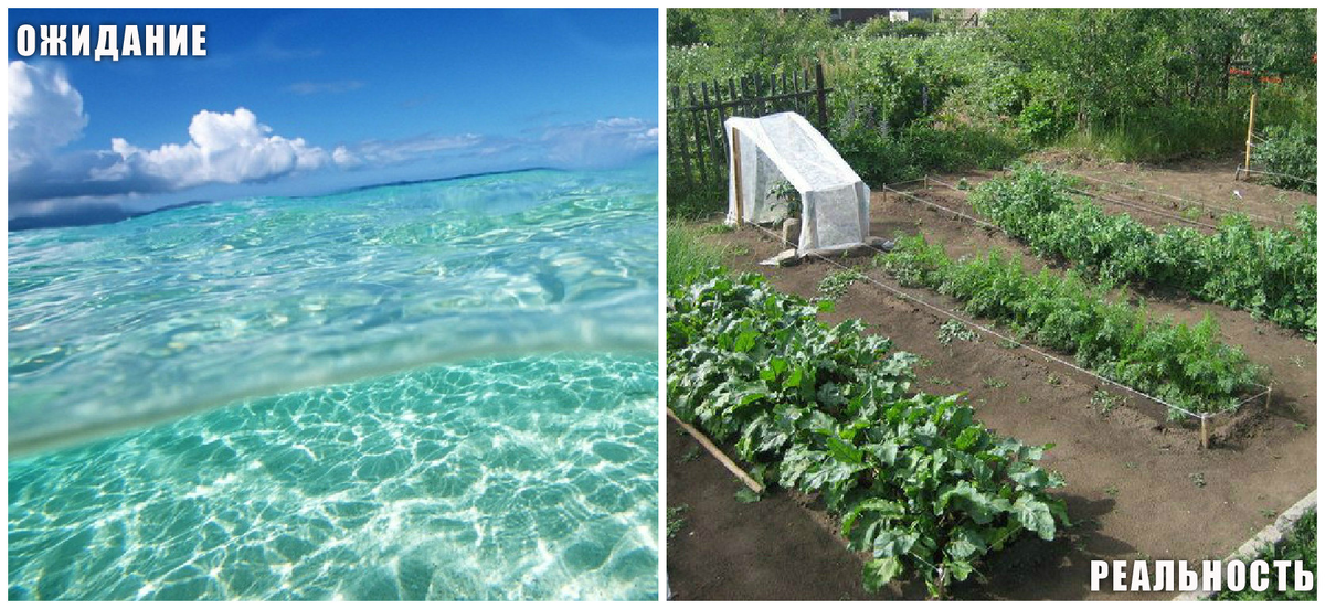 Где лучше провести лето: на даче или на море? 