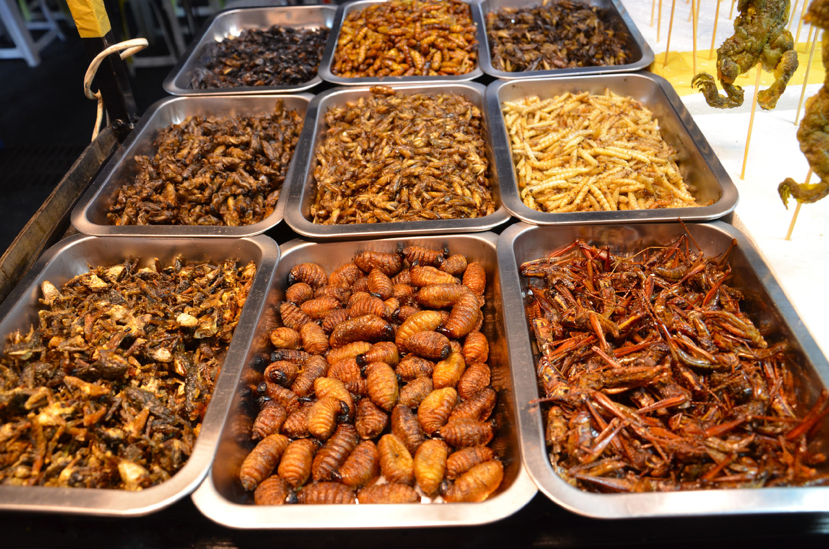 Жареные жучки-червячки. На первом плане посередине - жирные, упитанные саговые черви. Пальчики оближешь! Фото автора.