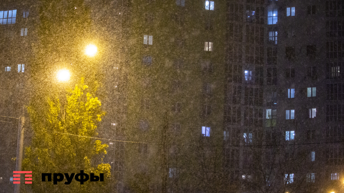    Фото: Пруфы.рф