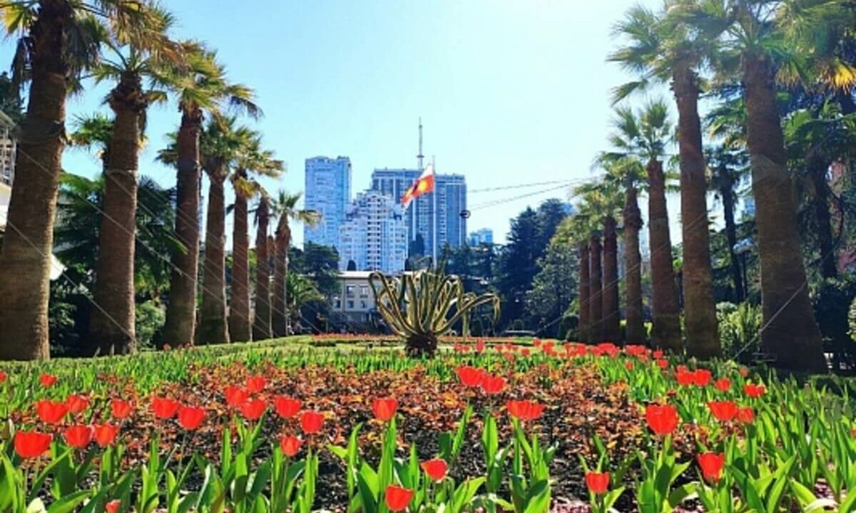    Фото пресс-службы администрации Сочи