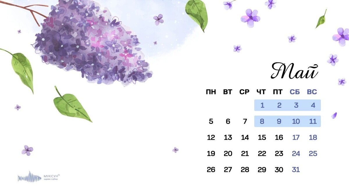     Источник: 1MI