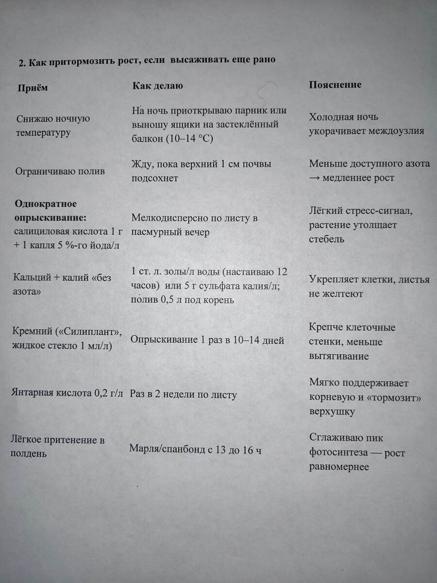 Схема ограничения роста рассады огурцов и фото Натальи Мироновой