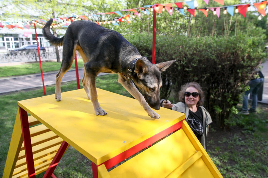    ©Агентство городских новостей "Москва"