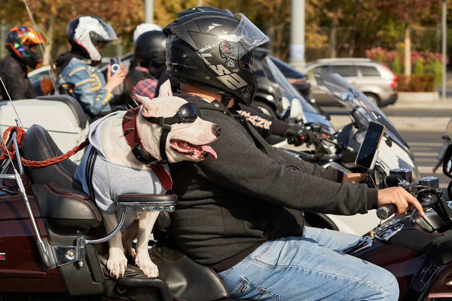    ©Агентство городских новостей "Москва"