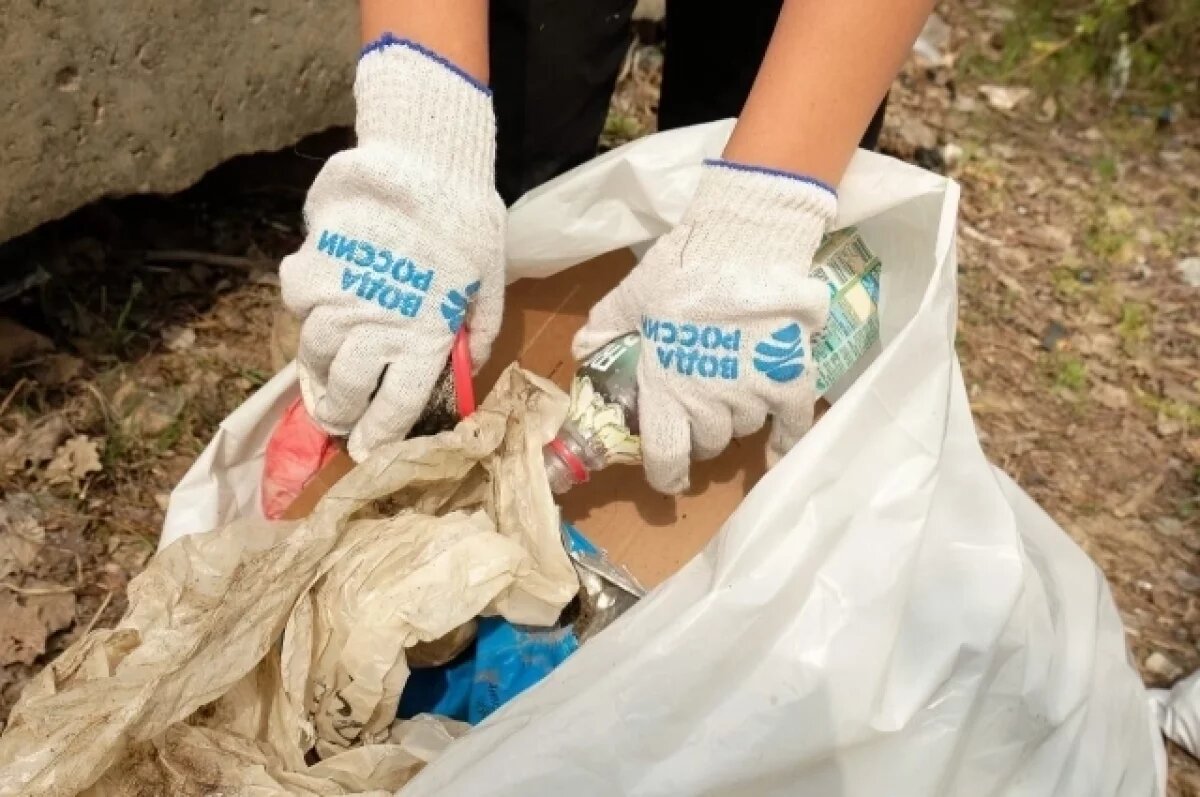    Астраханские школьники внесли свой вклад в чистоту Волги