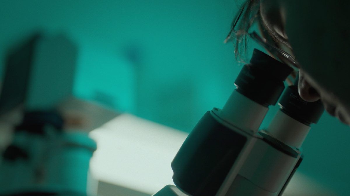 Метод Сократа | Опухоли умеют адаптироваться