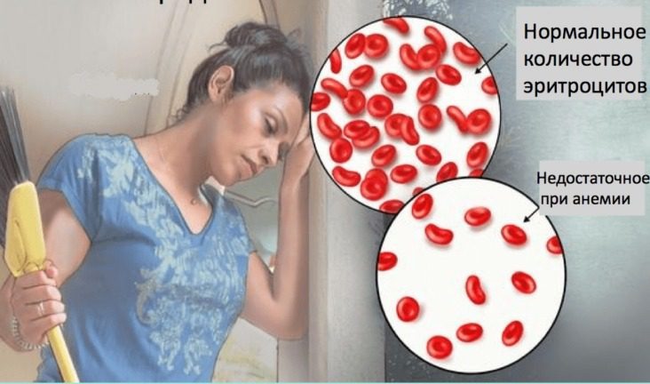 из интернета скачано