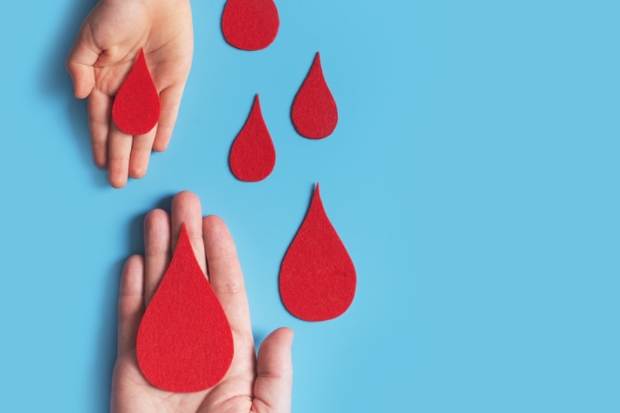 скачано из интернета