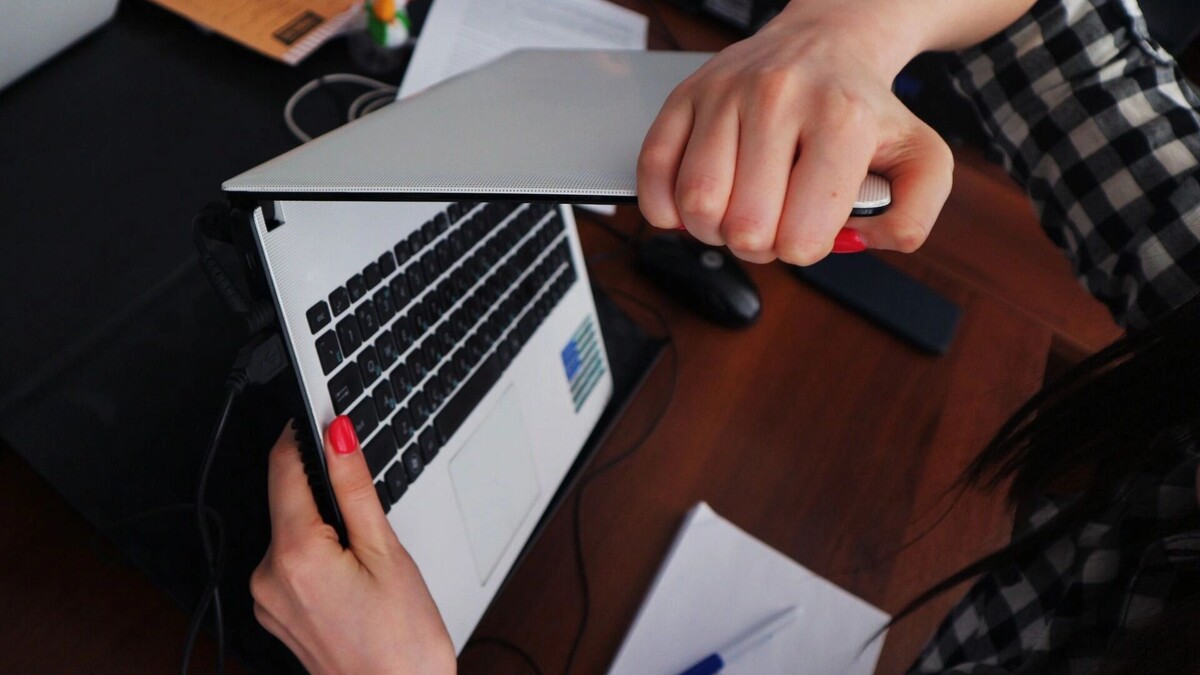     Источник: 1MI