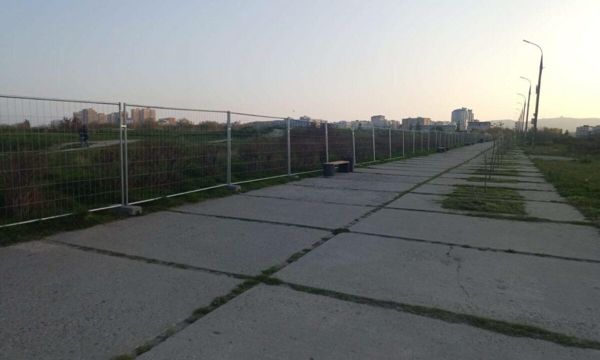    Фото t.me/novorab_official