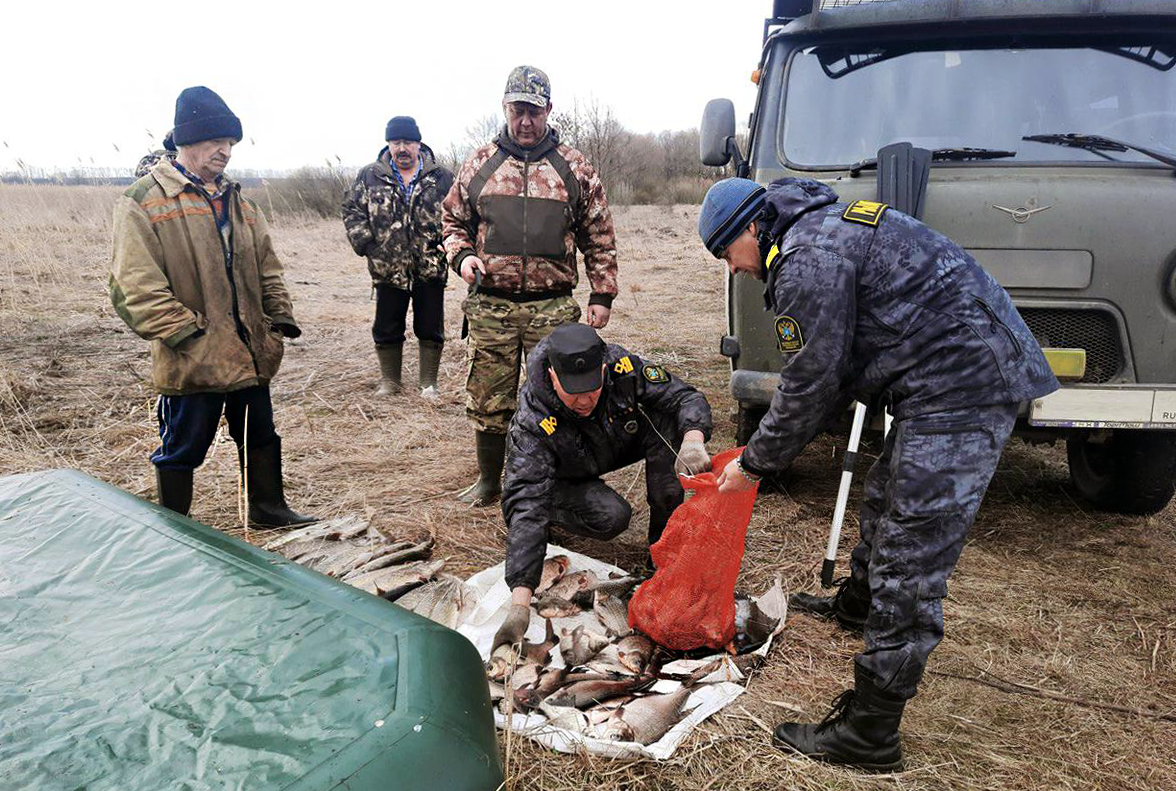 В последнее время появилось много изменений в законодательстве, поэтому расскажу про все важные нюансы более подробно.