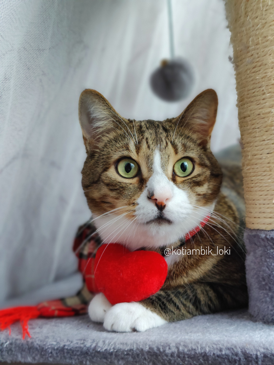 Это сердце для вас❤️