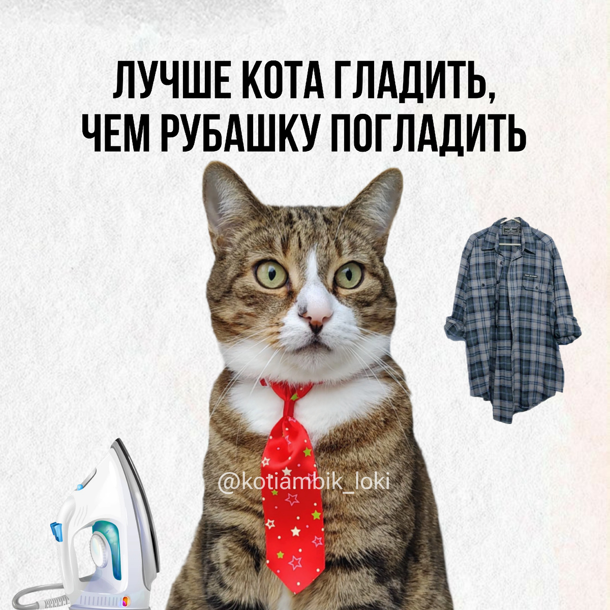 Отбросьте в сторону утюг, рубашка подождёт! Котика приятнее гладить, чем одежду.