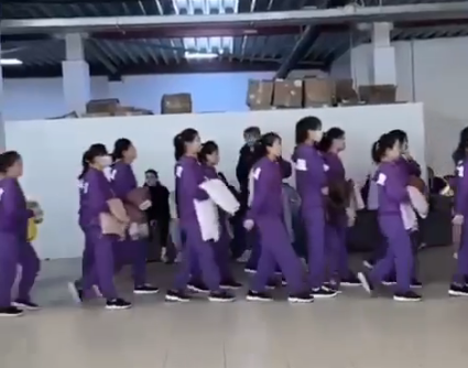 Кореянки на работе в России. Фото: скрин видео со склада Вайлдберис.