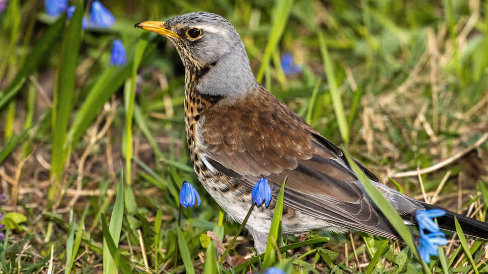 Фото: Константин Франовский / Коммерсантъ