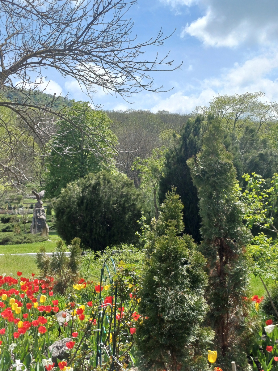 Фото автора.Железноводск.