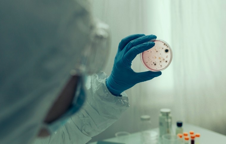    Shutterstock/FOTODOM