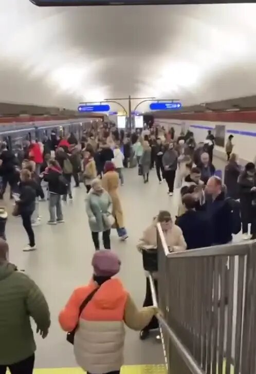    Фото: стоп-кадр видео из соцсетей