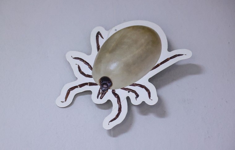    Сергей Петров/NEWS.ru